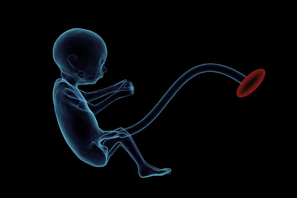 供卵宝宝不喜欢吃水果的应对策略 供卵宝宝不喜欢吃水果的应对策略