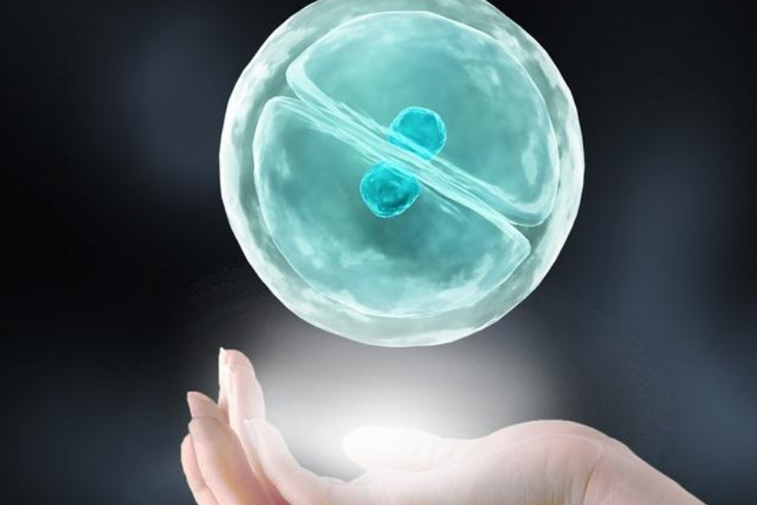 供卵宝宝手脚冰凉，家长如何应对？